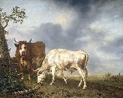 Jan Kobell Oxen in the meadow France oil painting artist